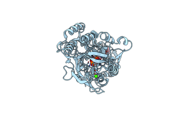 6Z9B image