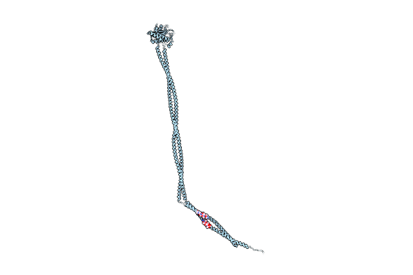 6Z9L image