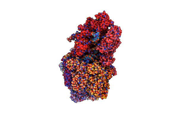 6Z9T image