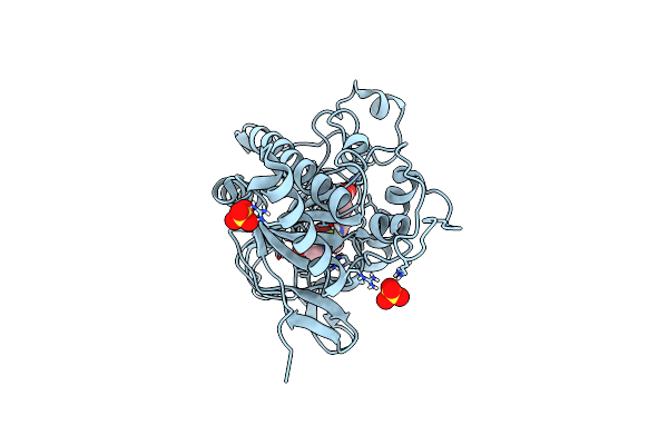 6ZAG image