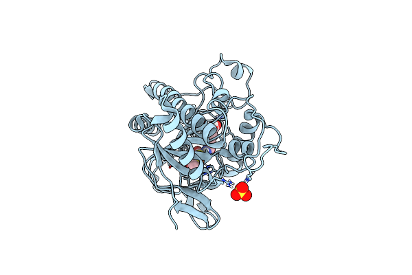 6ZAQ image