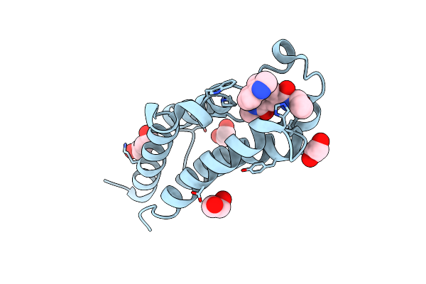 6ZB2 image