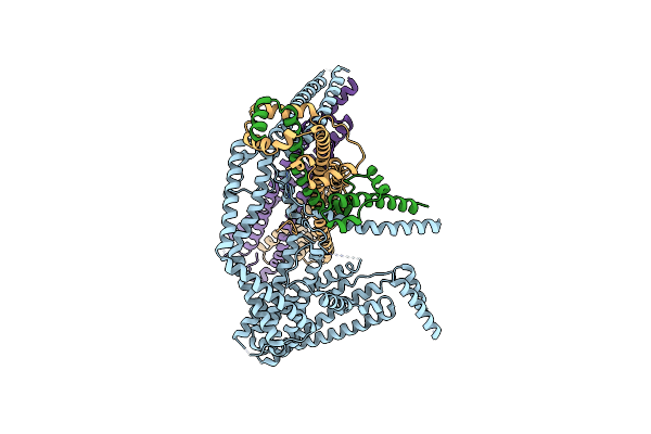 6ZBD image