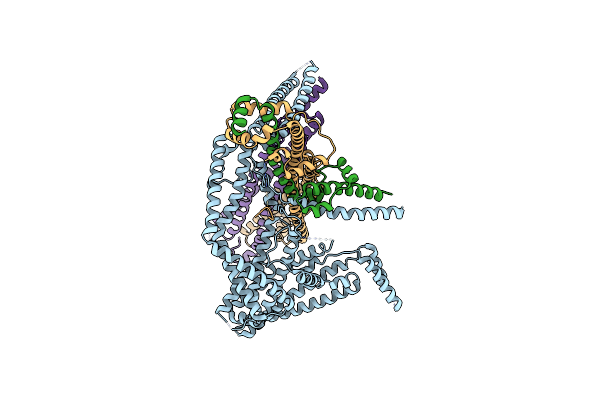 6ZBE image