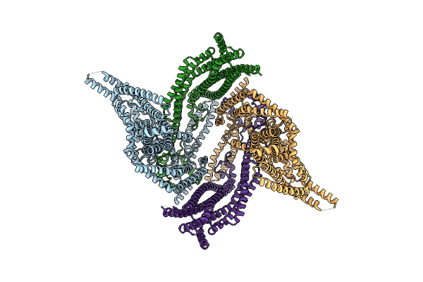 6ZBL image