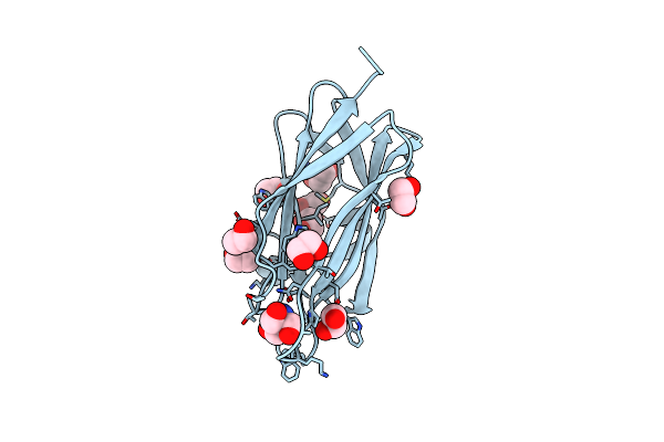 6ZC2 image
