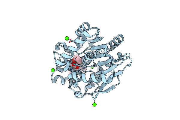 6ZCC image