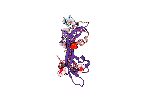 6ZCD image