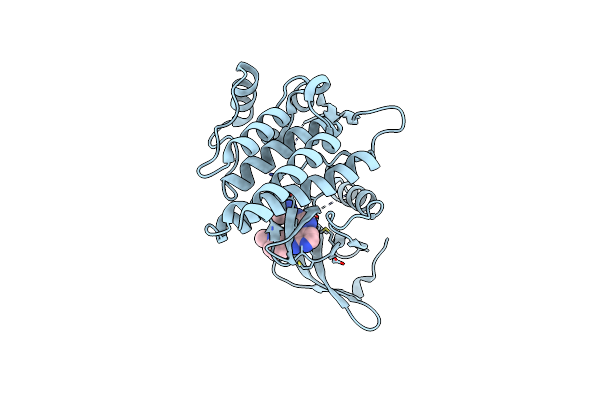 6ZCS image