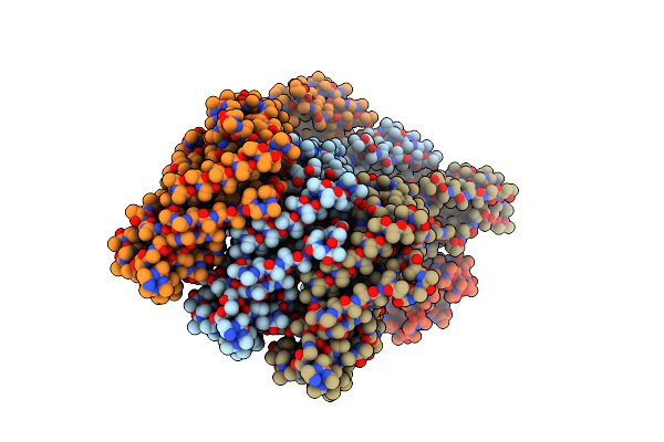 6ZD0 image