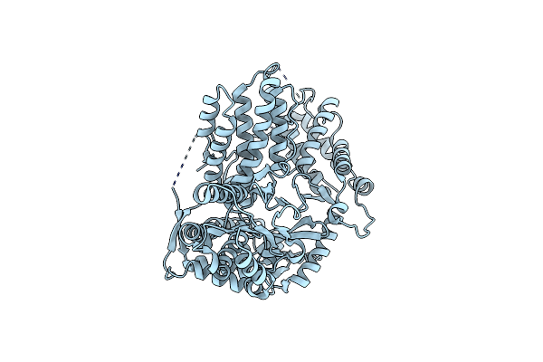 6ZD6 image
