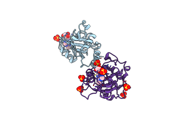 6ZDA image