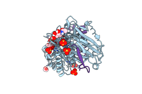 6ZDM image