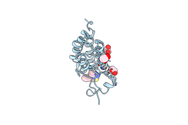 6ZF9 image