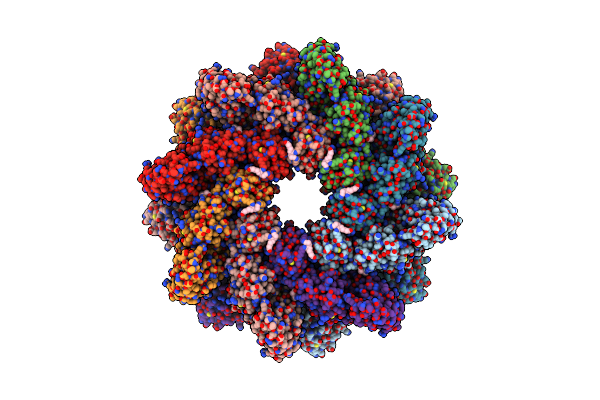 6ZFX image