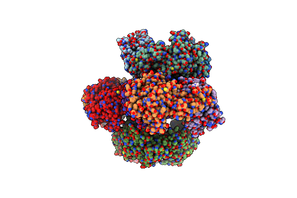 6ZGP image