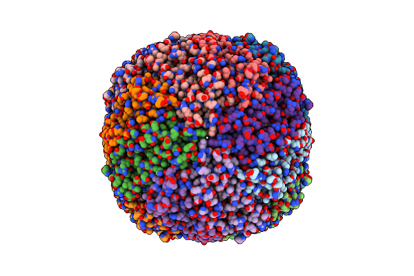 6ZH5 image