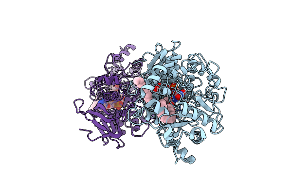 6ZH7 image
