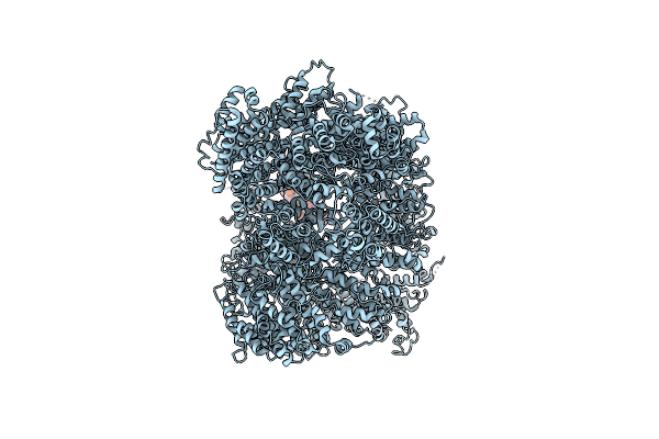 6ZH8 image
