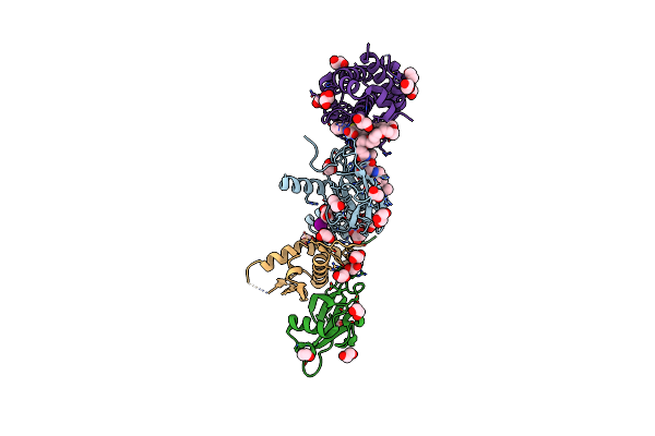 6ZHC image
