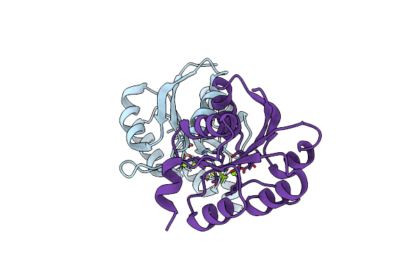 6ZII image