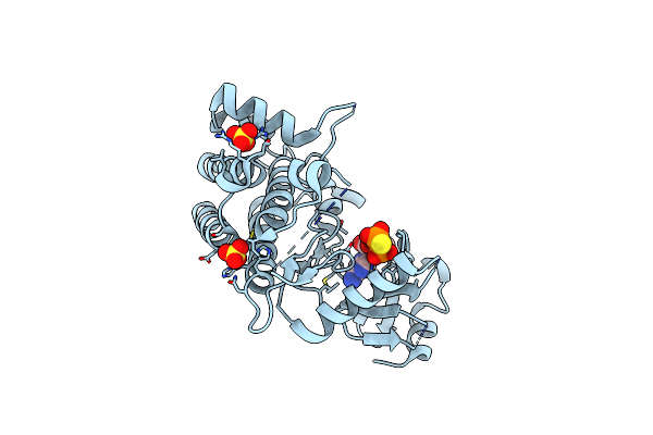6ZIW image