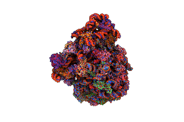 6ZJ3 image