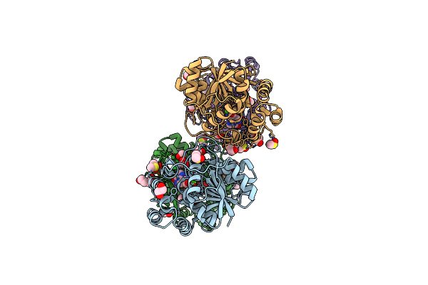 6ZK2 image