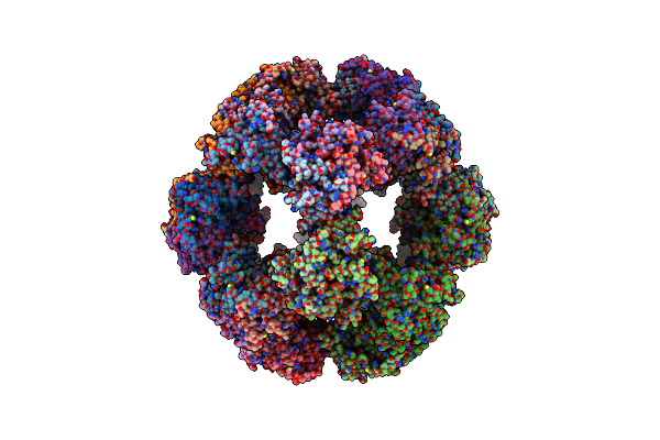 6ZLO image