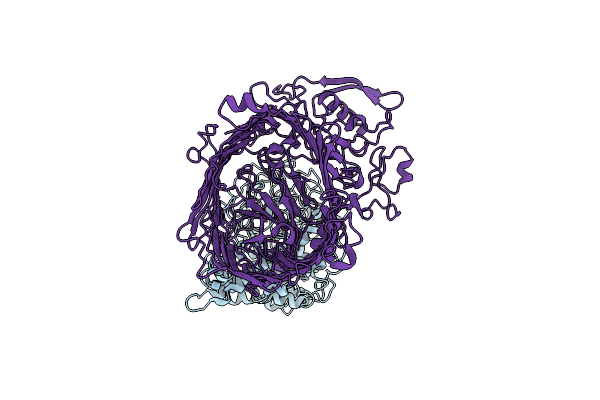 6ZLT image