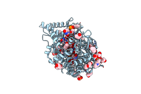 6ZM2 image