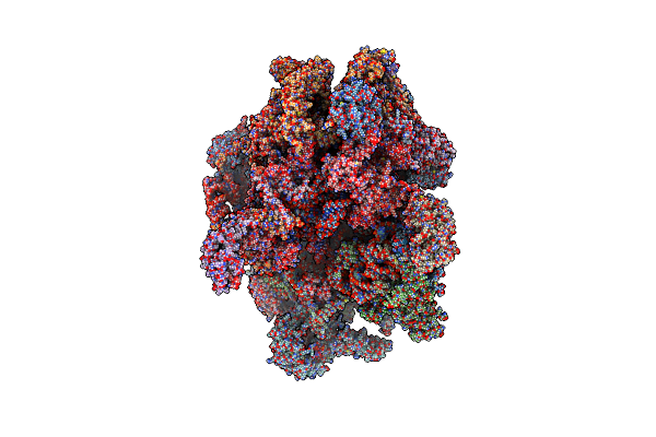 6ZM5 image