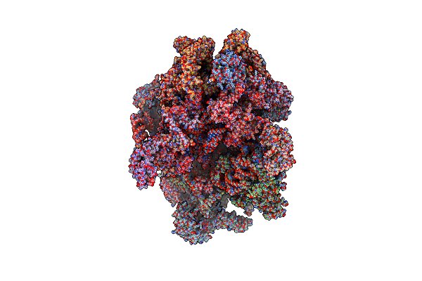 6ZM6 image