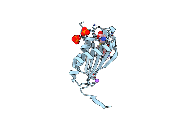 6ZM9 image