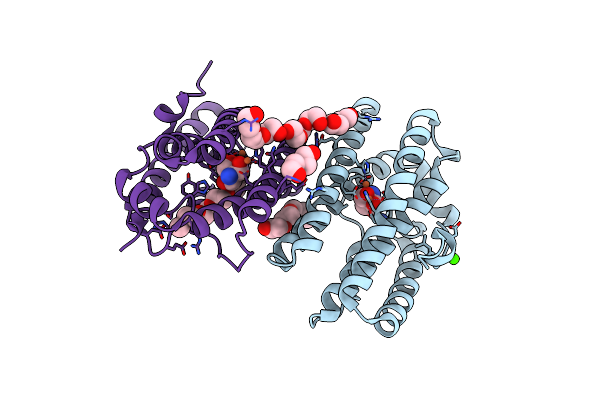 6ZMB image