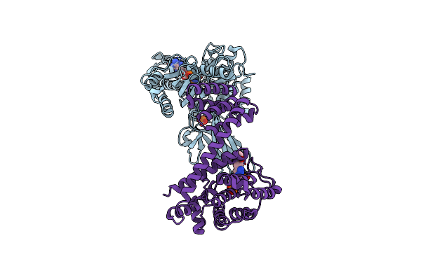 6ZMD image
