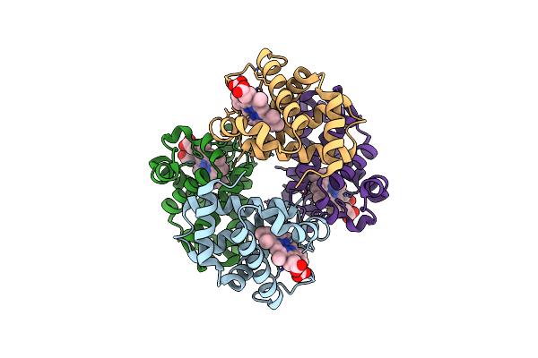 6ZMX image