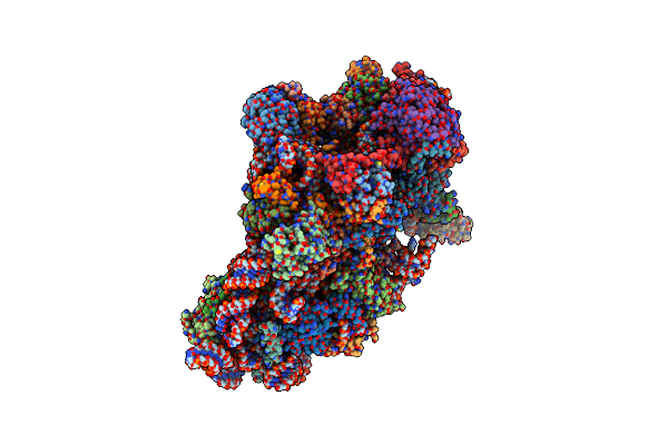 6ZN5 image