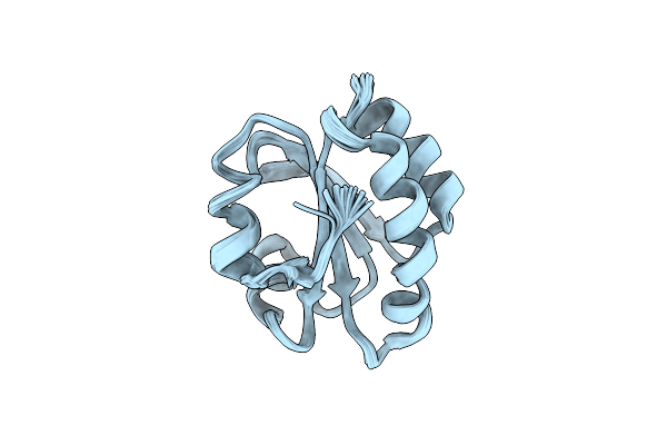 6ZOM image