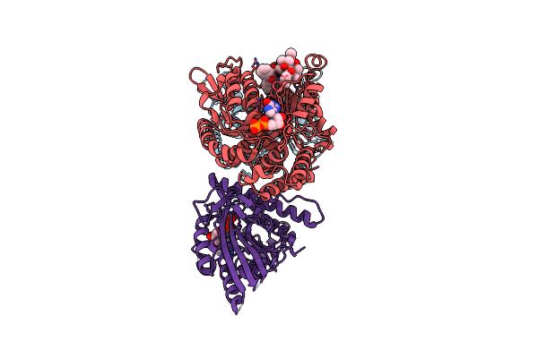 6ZPI image