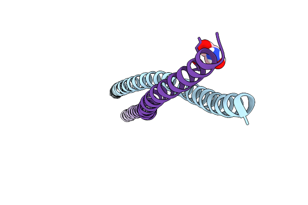 6ZPM image