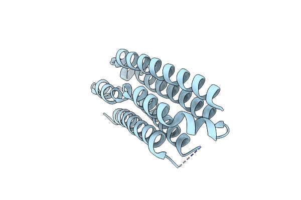 6ZPP image
