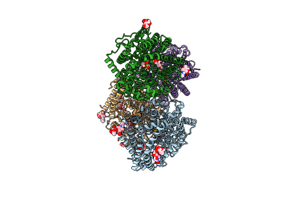 6ZPT image