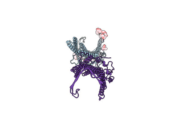 6ZRE image