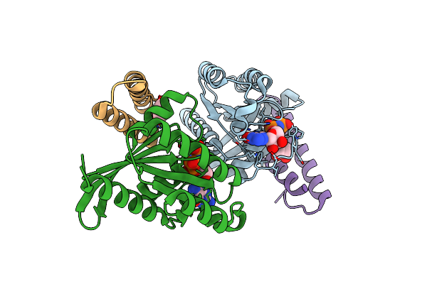 6ZRN image