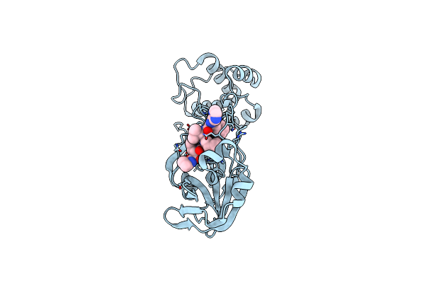 6ZRT image