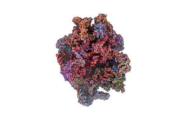 6ZSA image