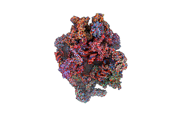 6ZSD image