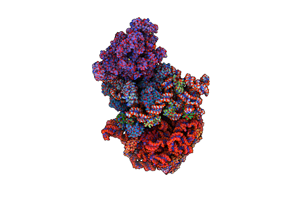 6ZTM image