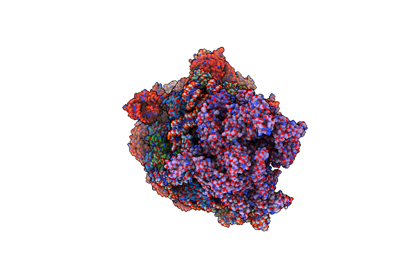 6ZTN image